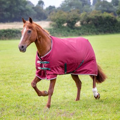 Tempest Original 200 Turnout Blanket