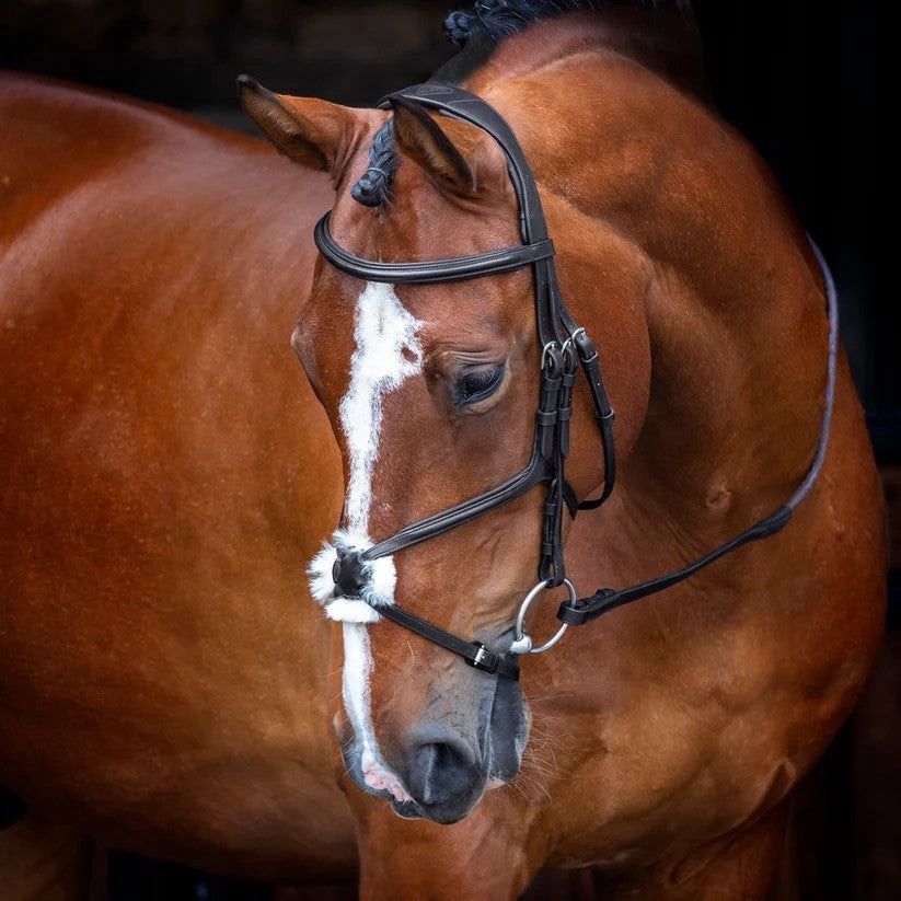 Shires Velociti Figure 8 Bridle, COLORS: black, Size: X-Full
