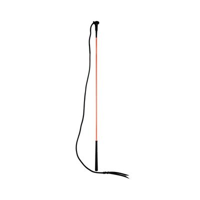 Carrot Stick Whip