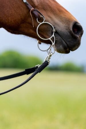 ThinLine Braided Comfort Grip Trail Reins, Color: Black, Size: 8ft