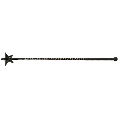 24" Star Shaped Sparkle Crop
