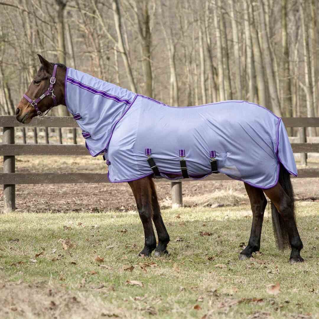 Comfy Pl Combo Neck Fly Sheet, Color: PUR, Size: 69