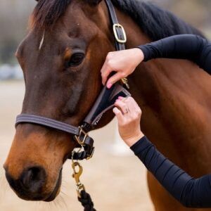 ThinLine Halter Cheek Liners