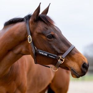 ThinLine Halter Cheek Liners, Color: Black