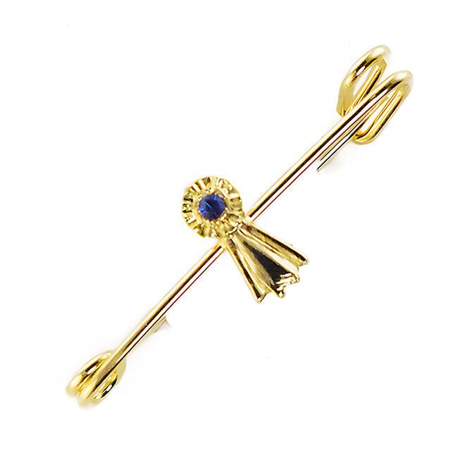 The Finishing Touch of Kentucky Stock Tie Pin - Ribbon, Color: Gold