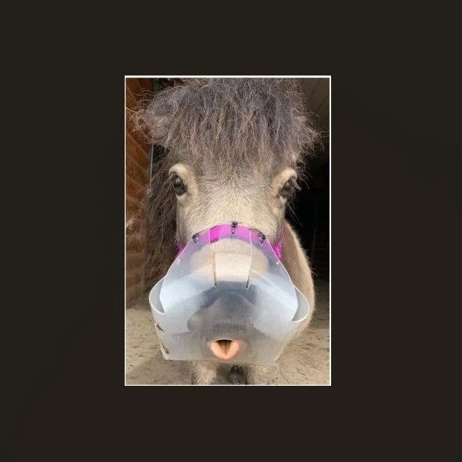 ThinLine Flexible Filly Grazing Muzzle, Grazing Hole: Full 3.5+ cm, Muzzle Size: S - Mini to Pony