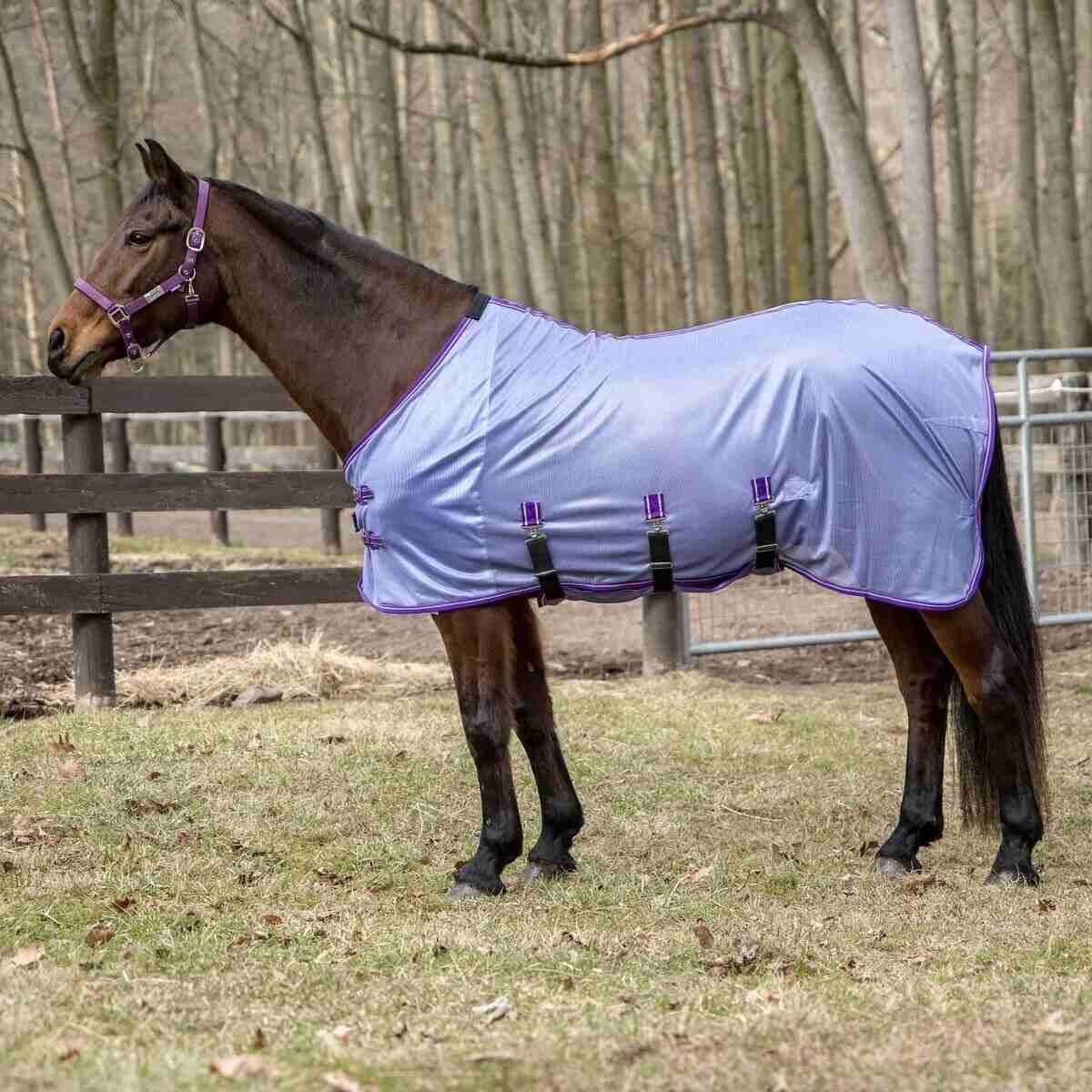 Comfy Plus Std Neck Fly Sheet, Color: PUR, Size: 69