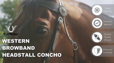 Western Browband Concho Headstall