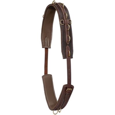 Harness Leather Surcingle