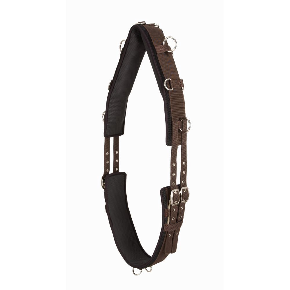 LUNGING &amp; TRAINING EQUIPMENT