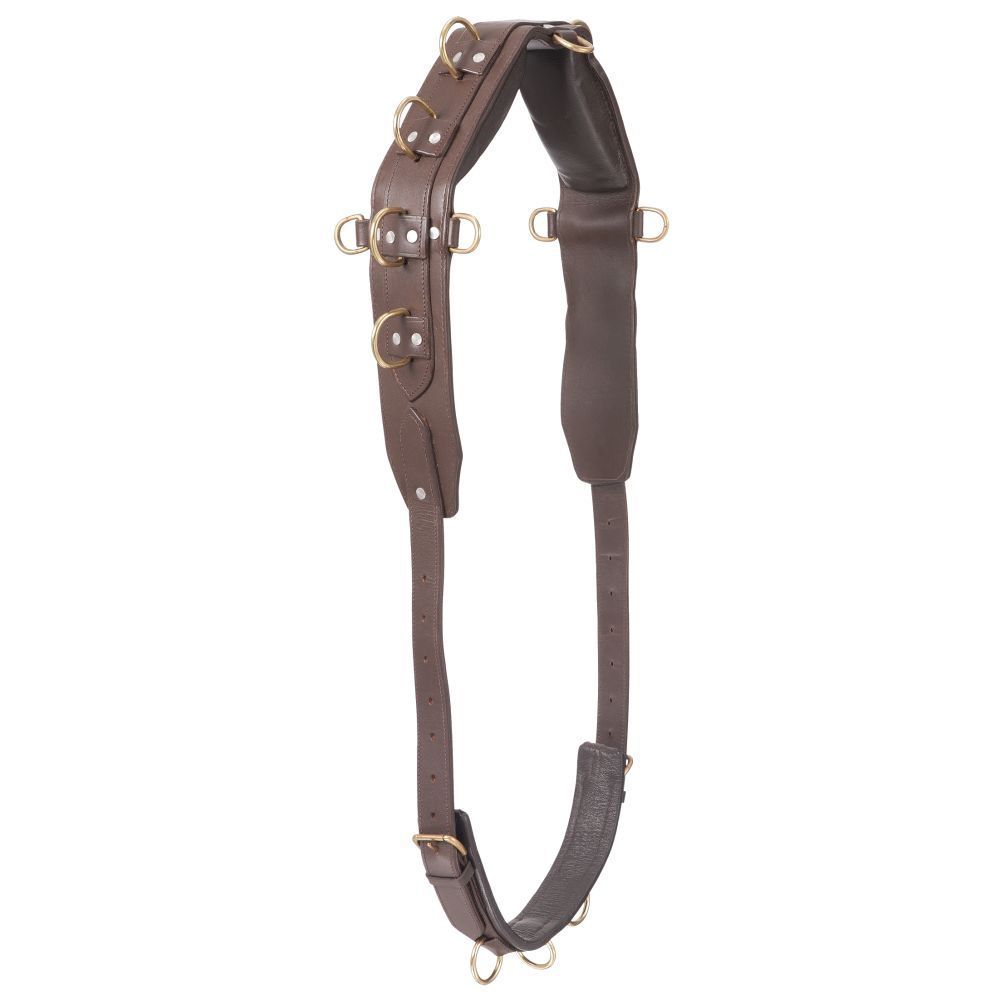Pro Heavy Leather Surcingle