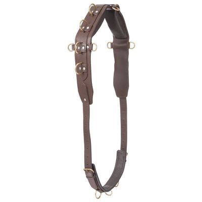 Pro Heavy Leather Surcingle