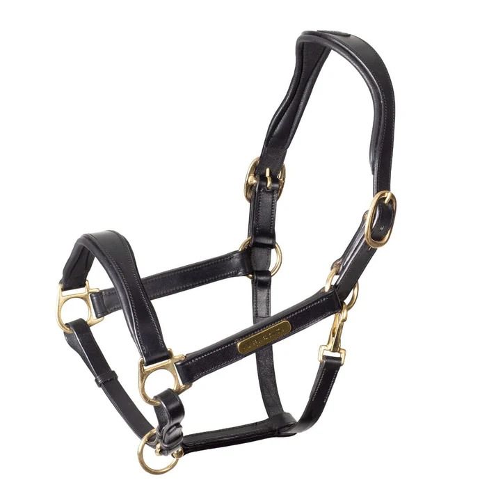 Velociti RAPIDA Cushioned Leather Halter