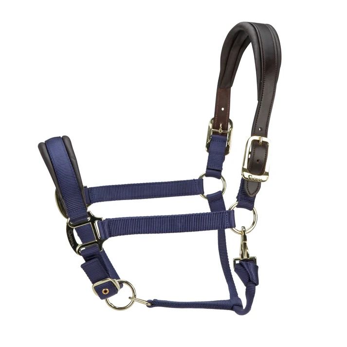 ARMA Nylon Halter w/ Leather Padding