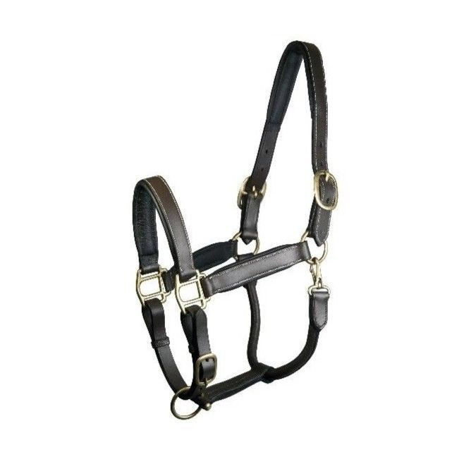 Padded Leather Halter Adj