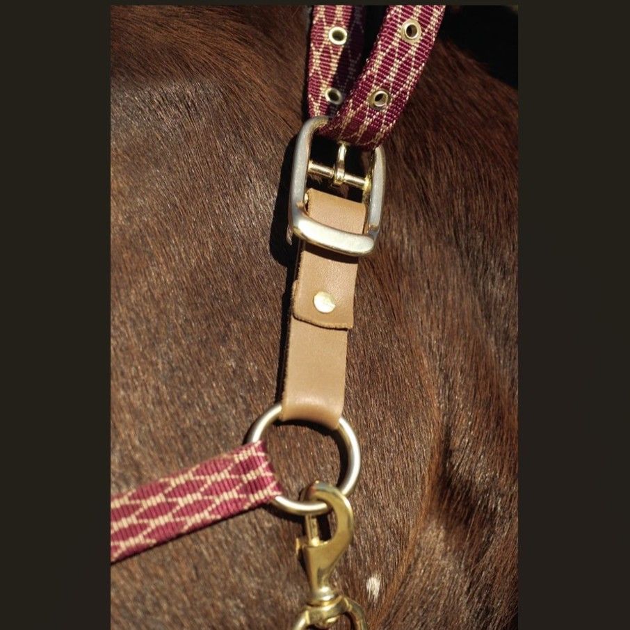 Leather Breakaway Fuse