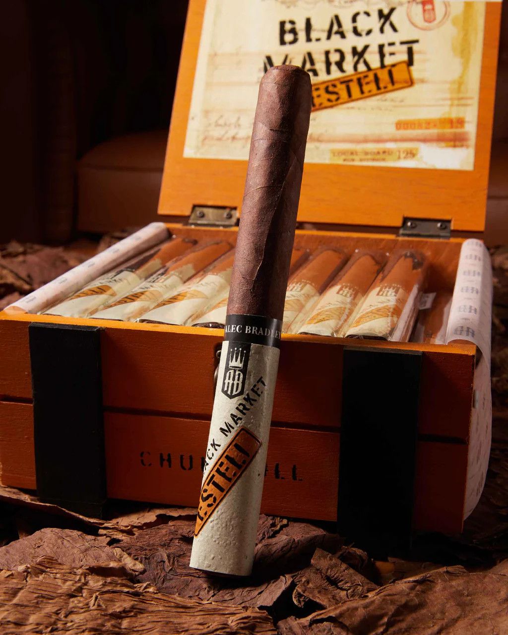 ALEC  BRADLEY  BlACK MARKET ESTELI CHURCHILL