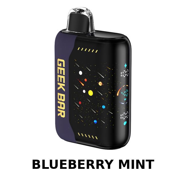 Geek Bar Hookah X DTL 25K Puff - Blueberry Mint