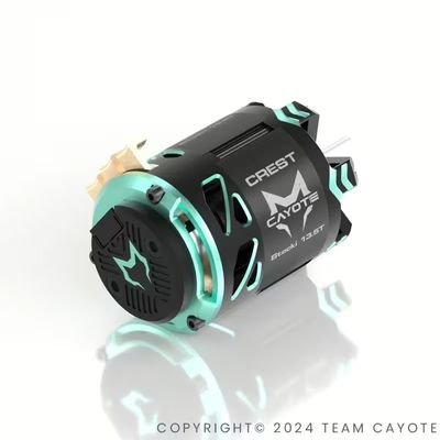 CAYOTE Crest Stocki 17.5T Brushless Motor