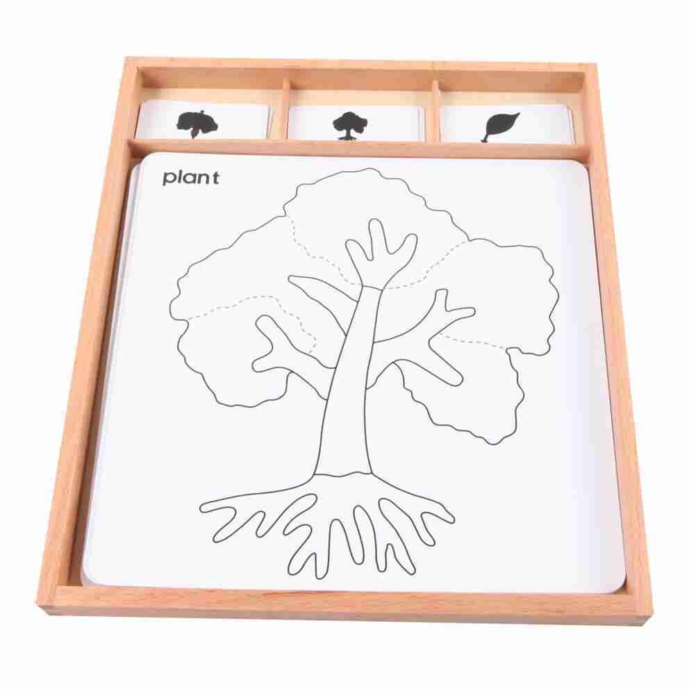 Botany Puzzle Activity Set