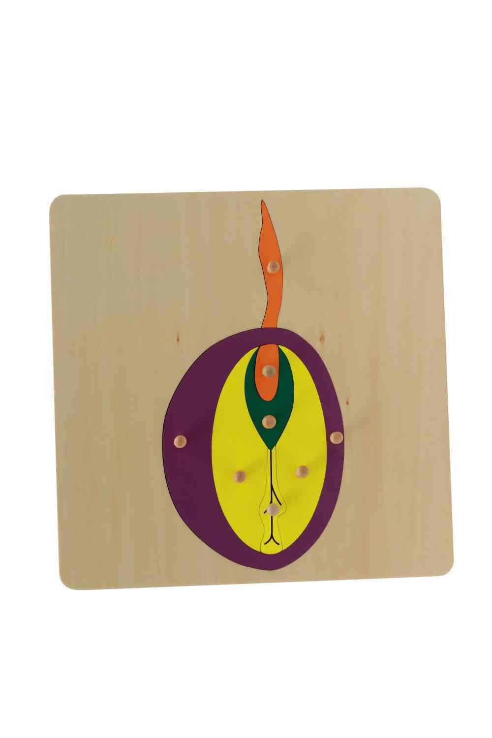 Seed Puzzle