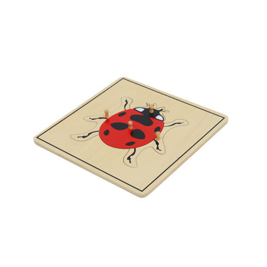 Lady Bug Puzzle