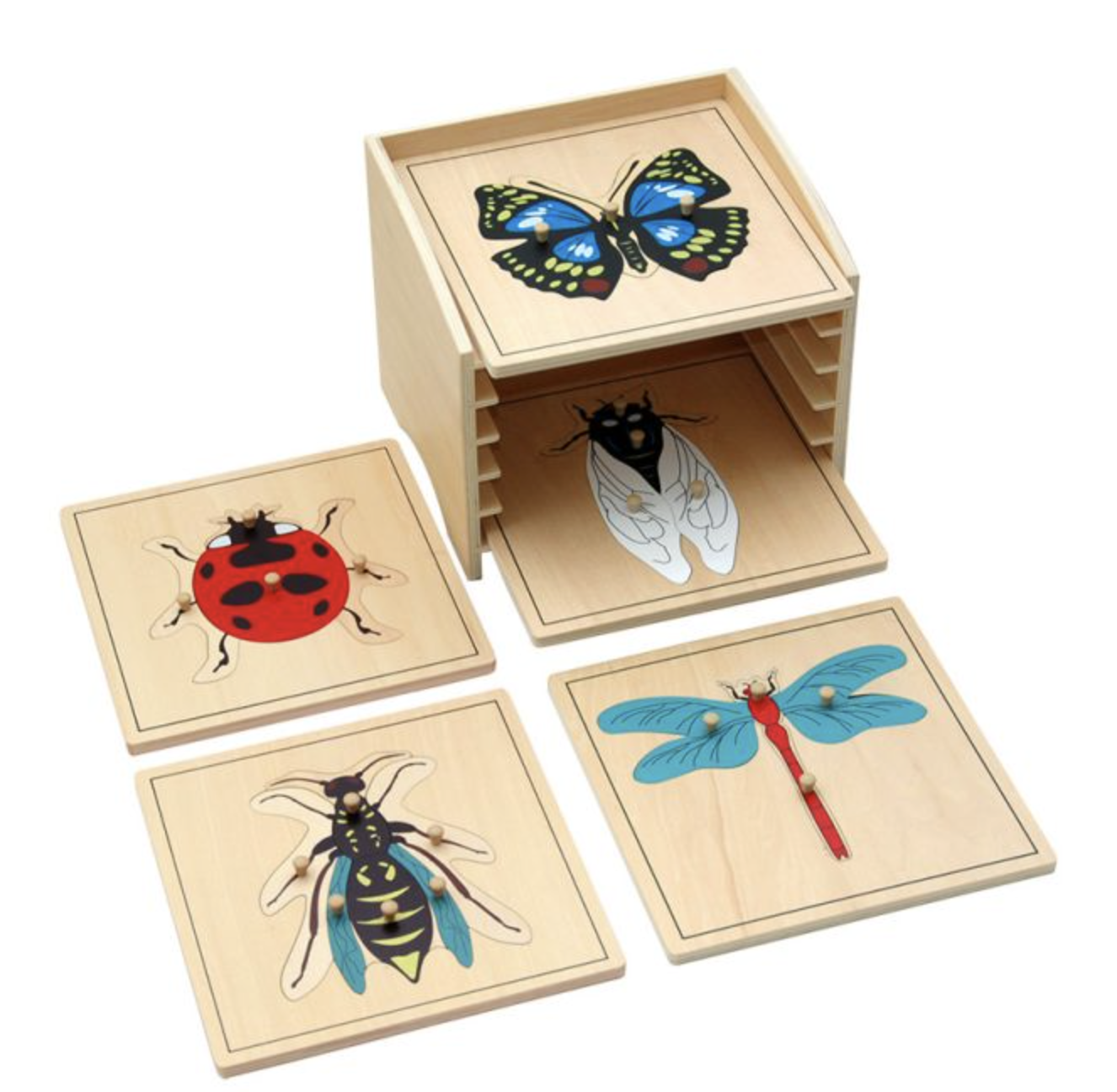 Insect Puzzle Cabinet (5 Slots)