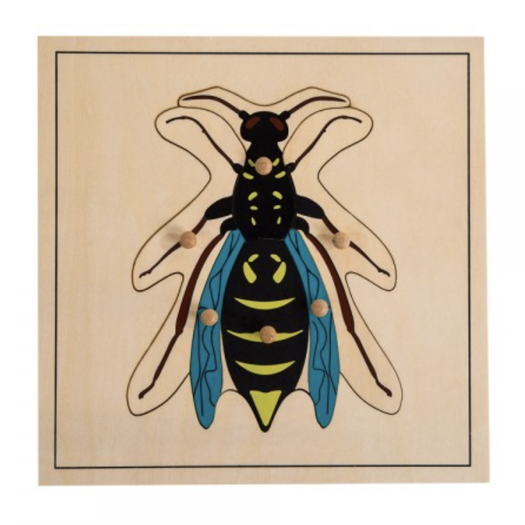 Wasp Puzzle