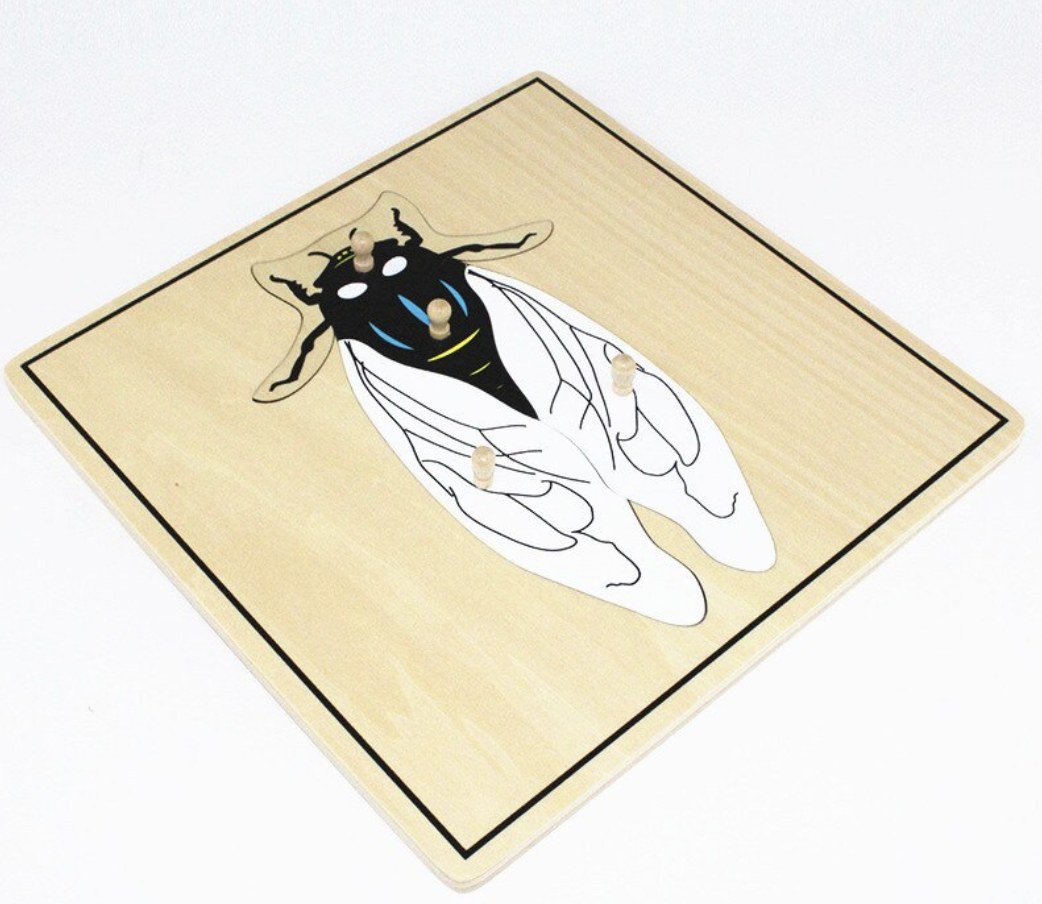 Fly Puzzle