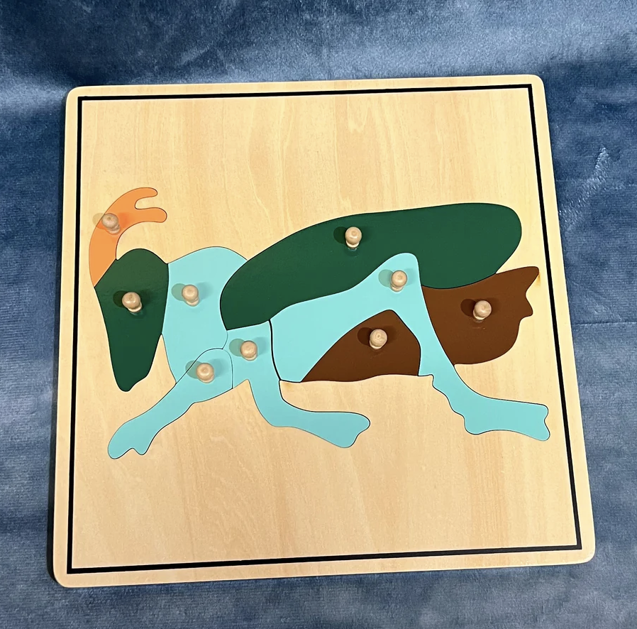 Cricket Puzzle