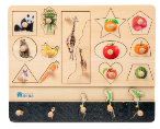 Animal and Plant Matching Puzzle