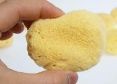 Large Natural Sponge