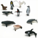 Animals from Antarctica objects
