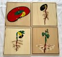 Plant growth puzzle 4 pieces