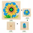 Life Cycle Objects - board