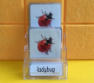 Three-Parts Cards
-Insects（22 sets）