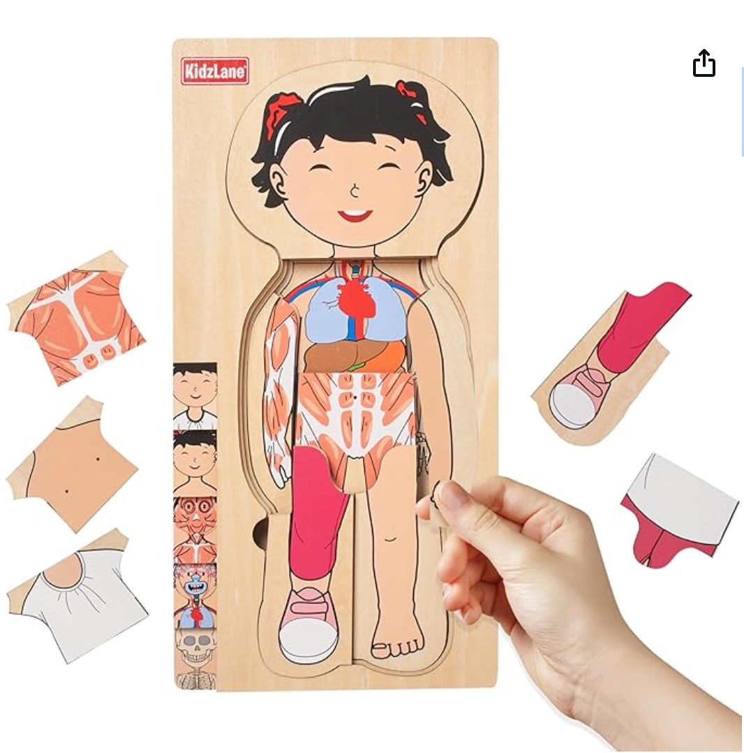 Kidzlane Wooden My Body Puzzle for Toddler - 5-Layer Girl Anatomy Puzzle
