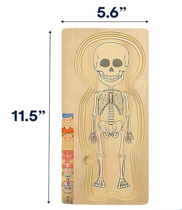 Kidzlane Boy Wooden My Body Puzzle