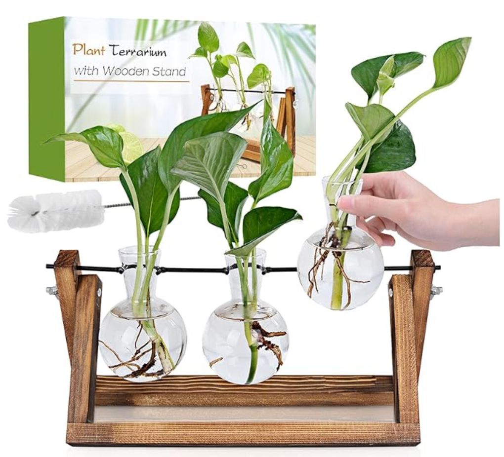 Plant Propagation Station