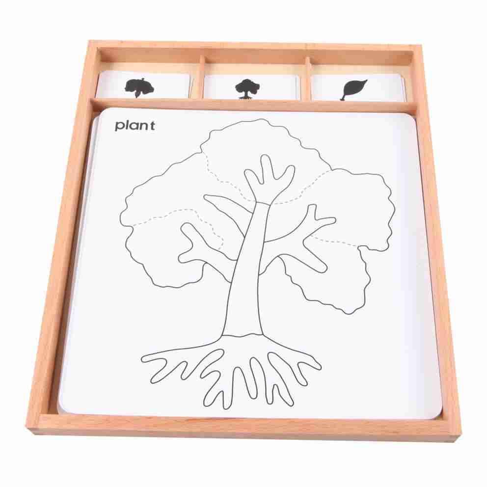 Botany Puzzle Activity Set