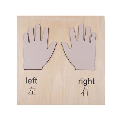 Hands (right and left) Language Chinese with English