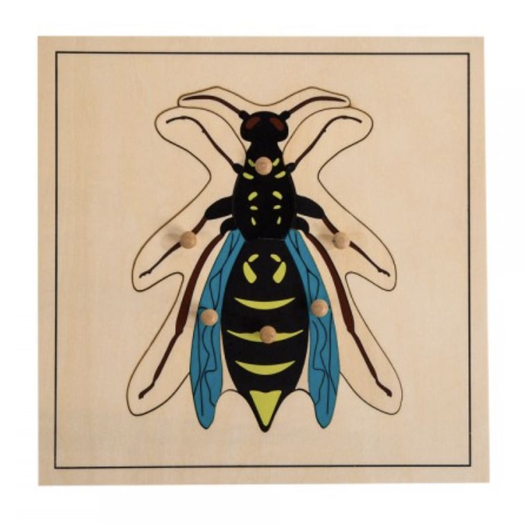 Wasp Puzzle
