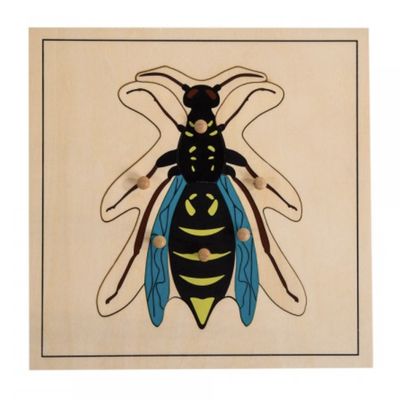 Wasp Puzzle