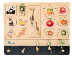 Animal and Plant Matching Puzzle