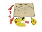 Fish &amp; Skeleton Puzzle