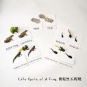Life cycle of a Frog cards