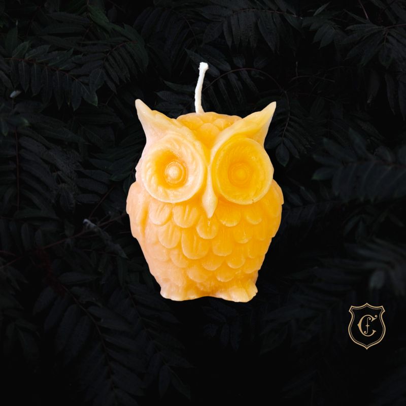 Maître hibou orange