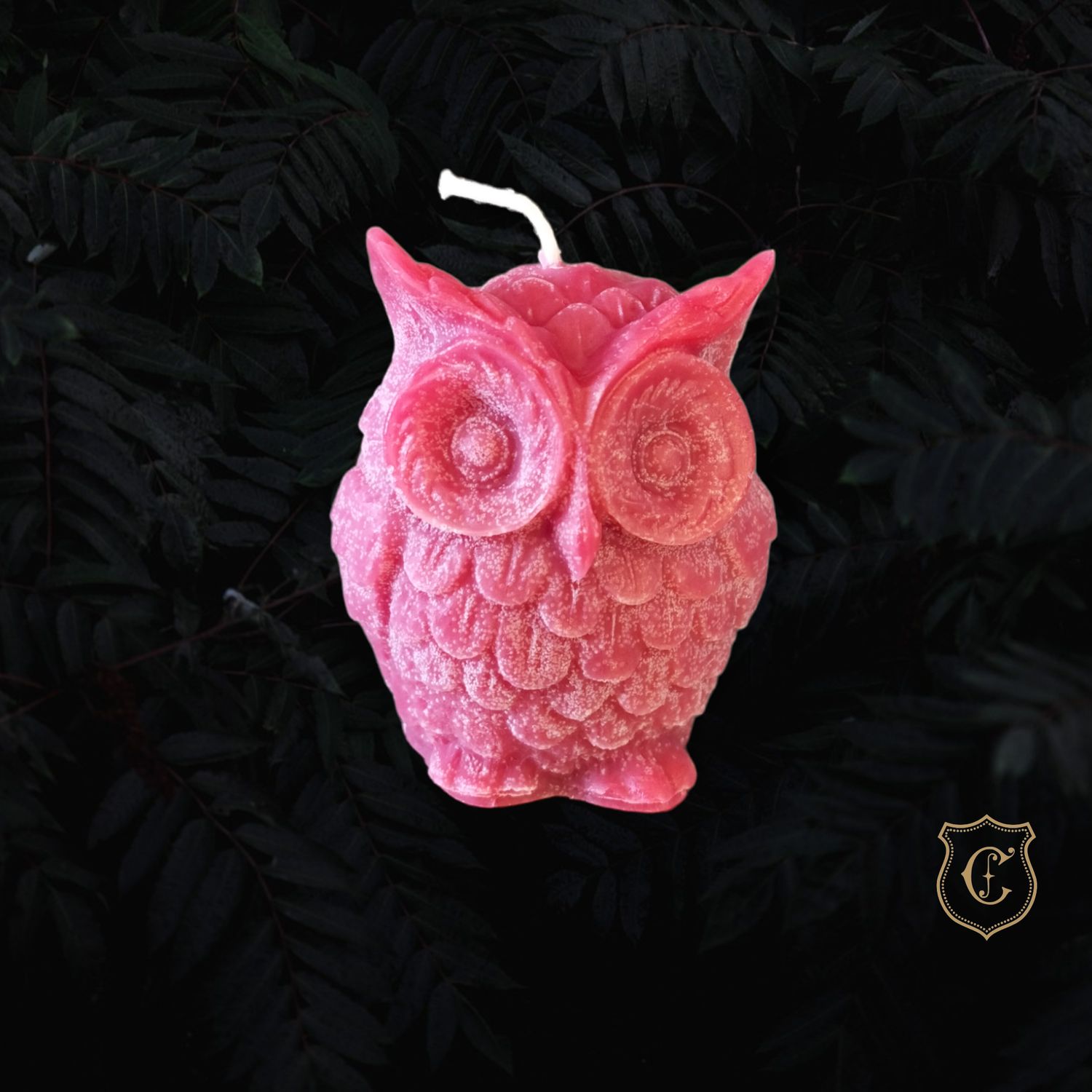 Maître hibou rouge