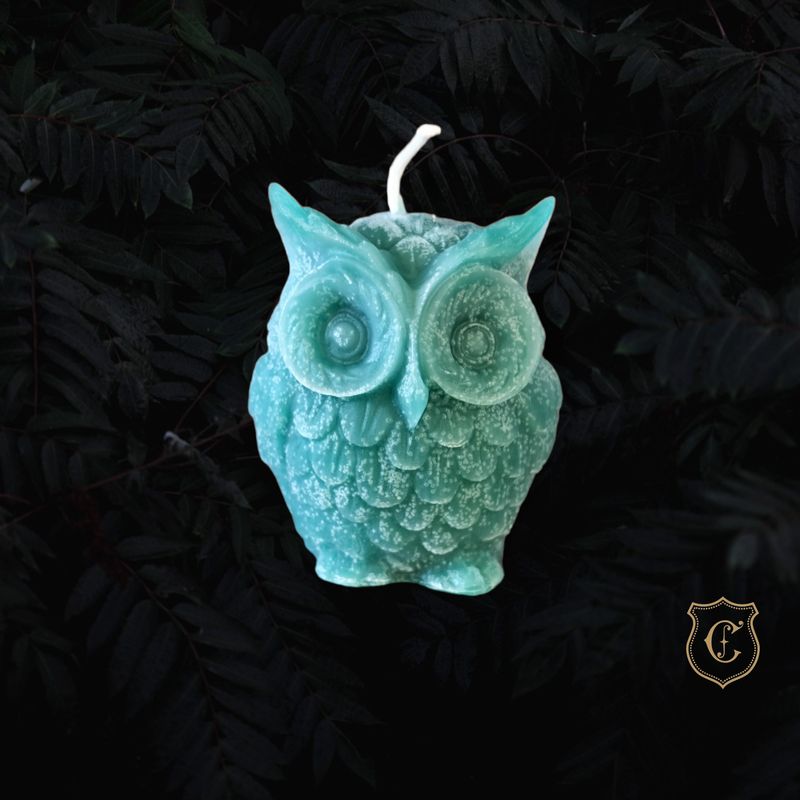 Maître hibou vert