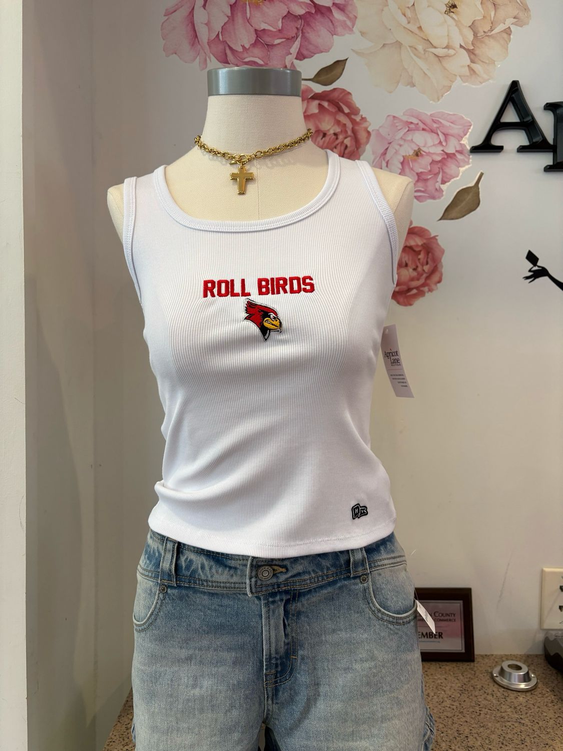 REDBIRD MVP TANK